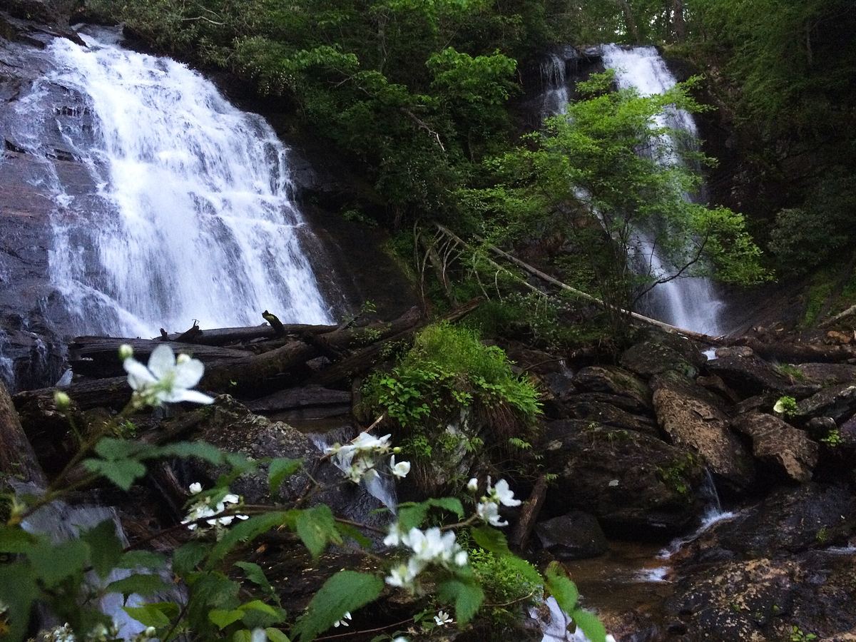 Anna Ruby Falls, two waterfalls side by side in green forest with white flowers in front