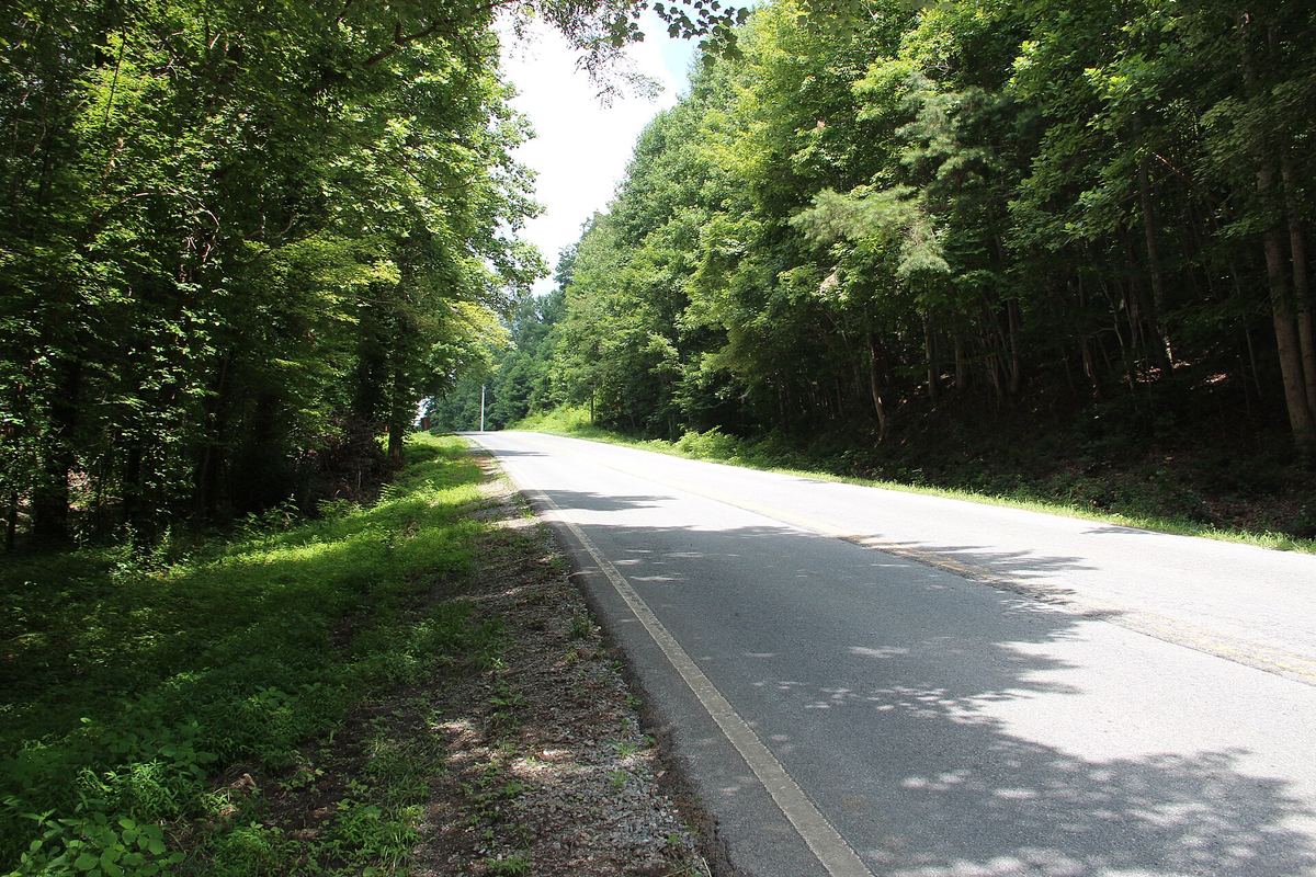 A shaded, two-lane stretch of Aska Road through the forest near Blue Ridge