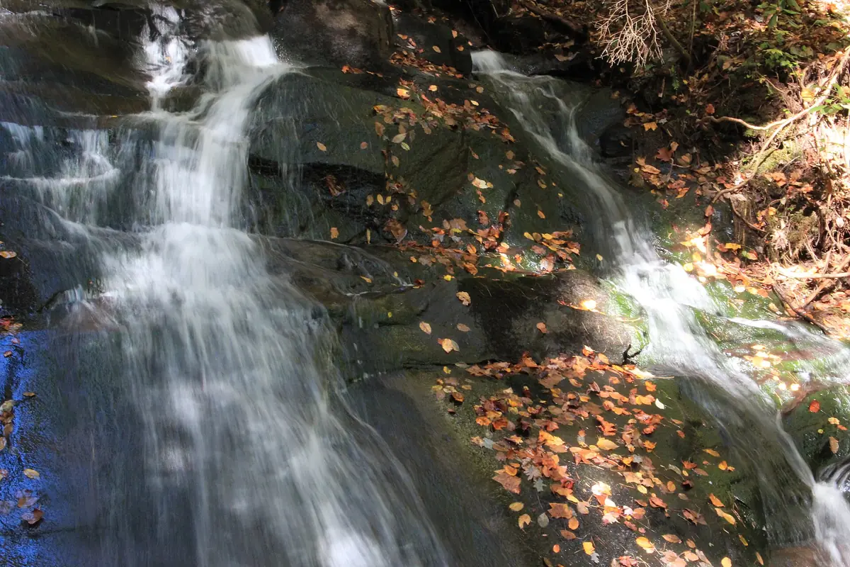 Fall Branch Falls cascading over rock with autumn leaves